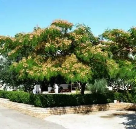 Calimero *
